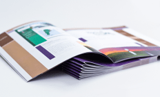 Catalog Production Points